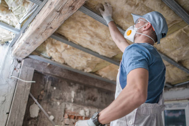 Best Insulation Maintenance and Repair in Linden, NJ
